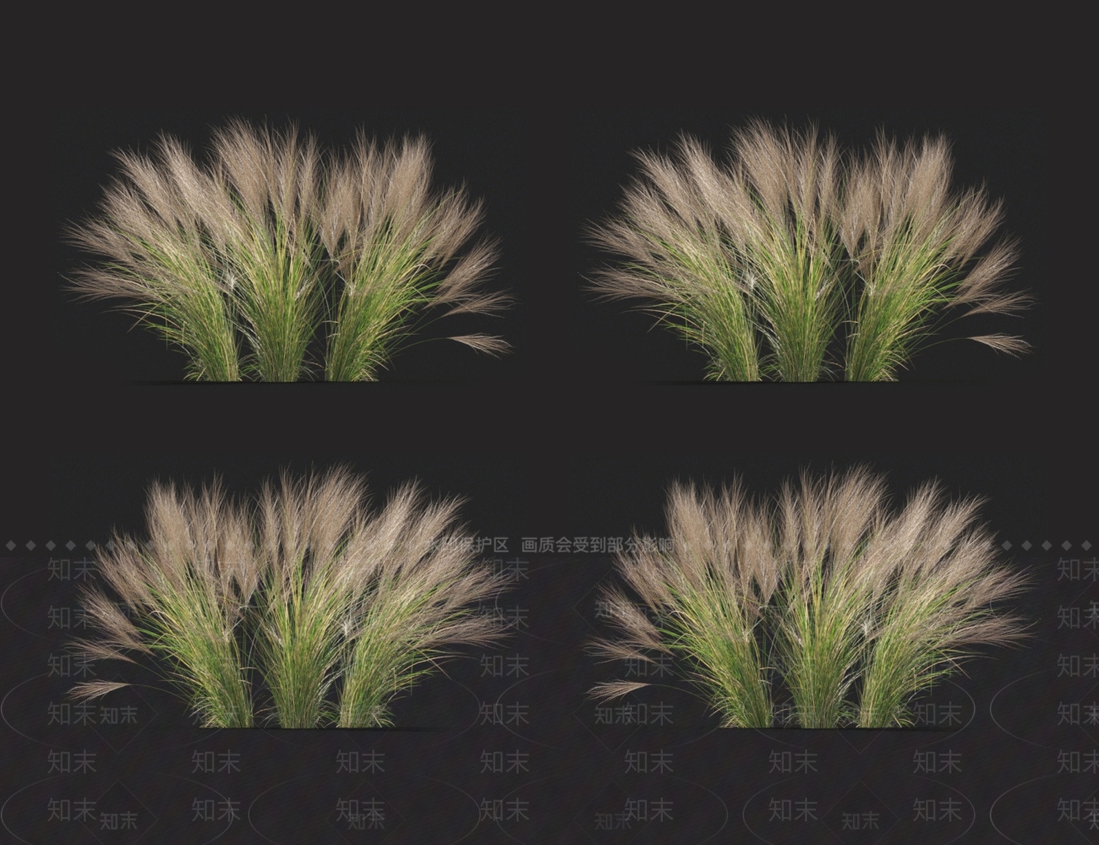 马尾针茅3D模型下载【ID:1123693470】