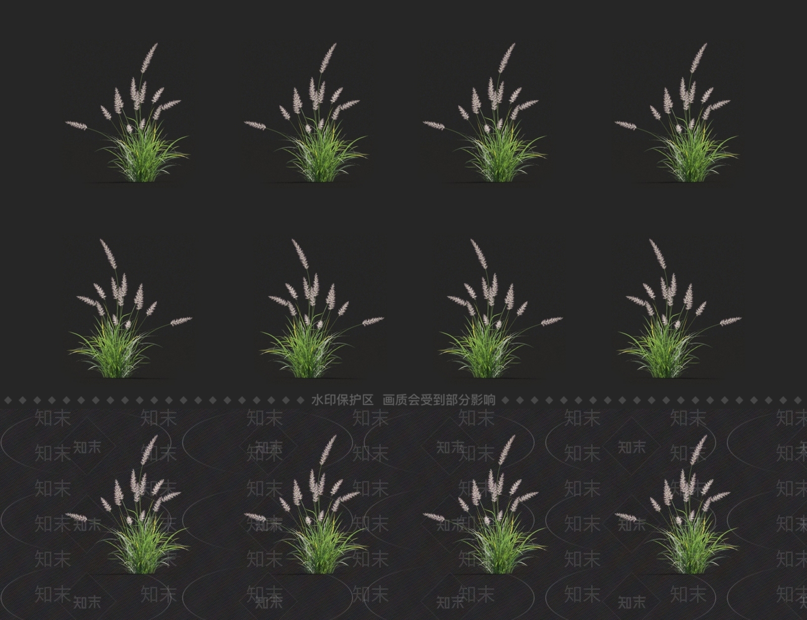 狼尾草3D模型下载【ID:1123696881】