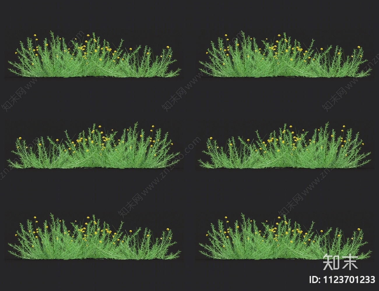 迷迭香3D模型下载【ID:1123701233】