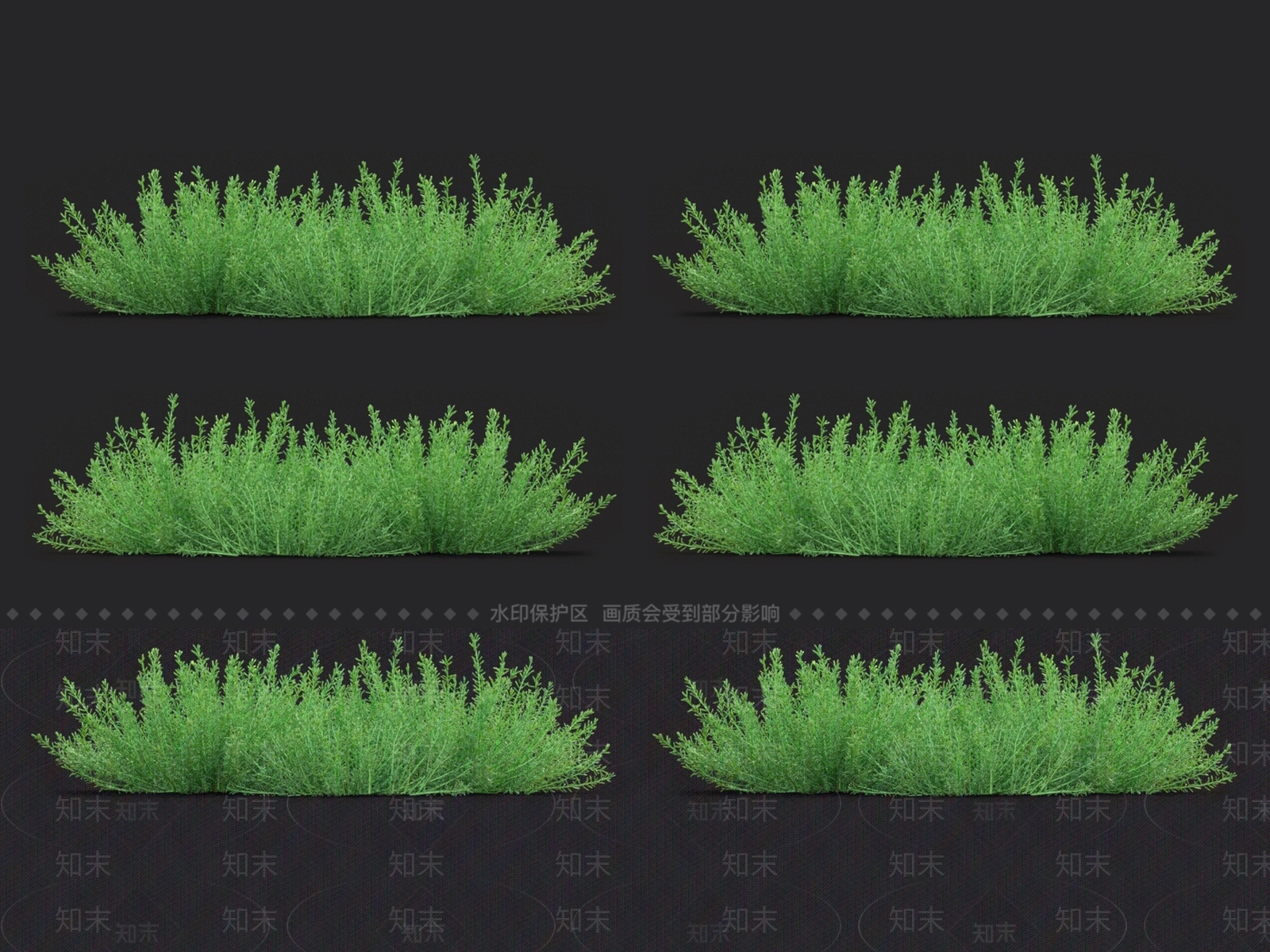 迷迭香3D模型下载【ID:1123701292】