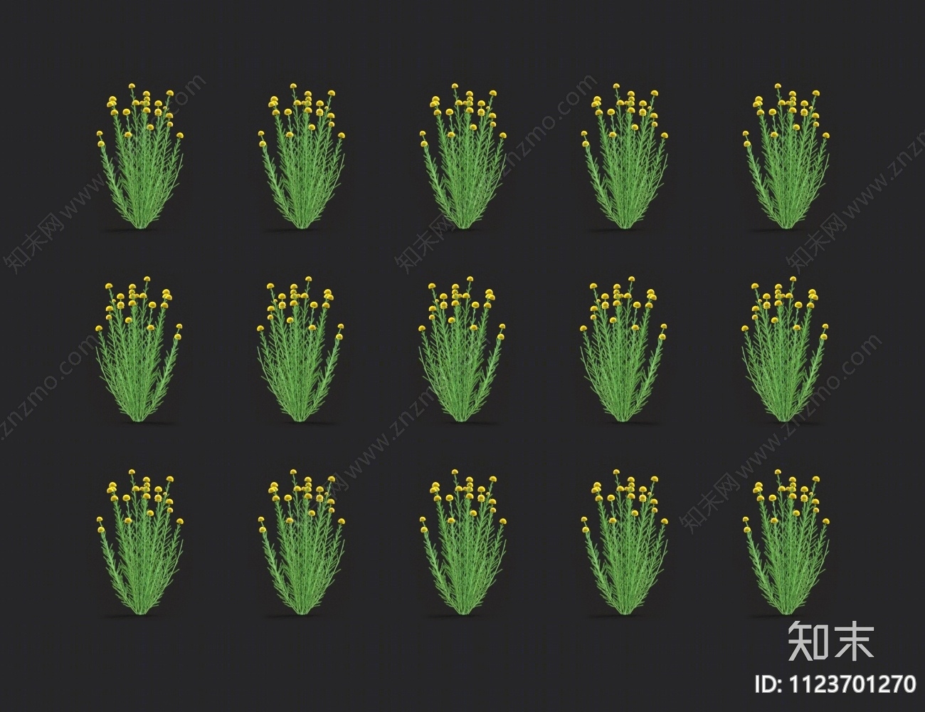 迷迭香3D模型下载【ID:1123701270】