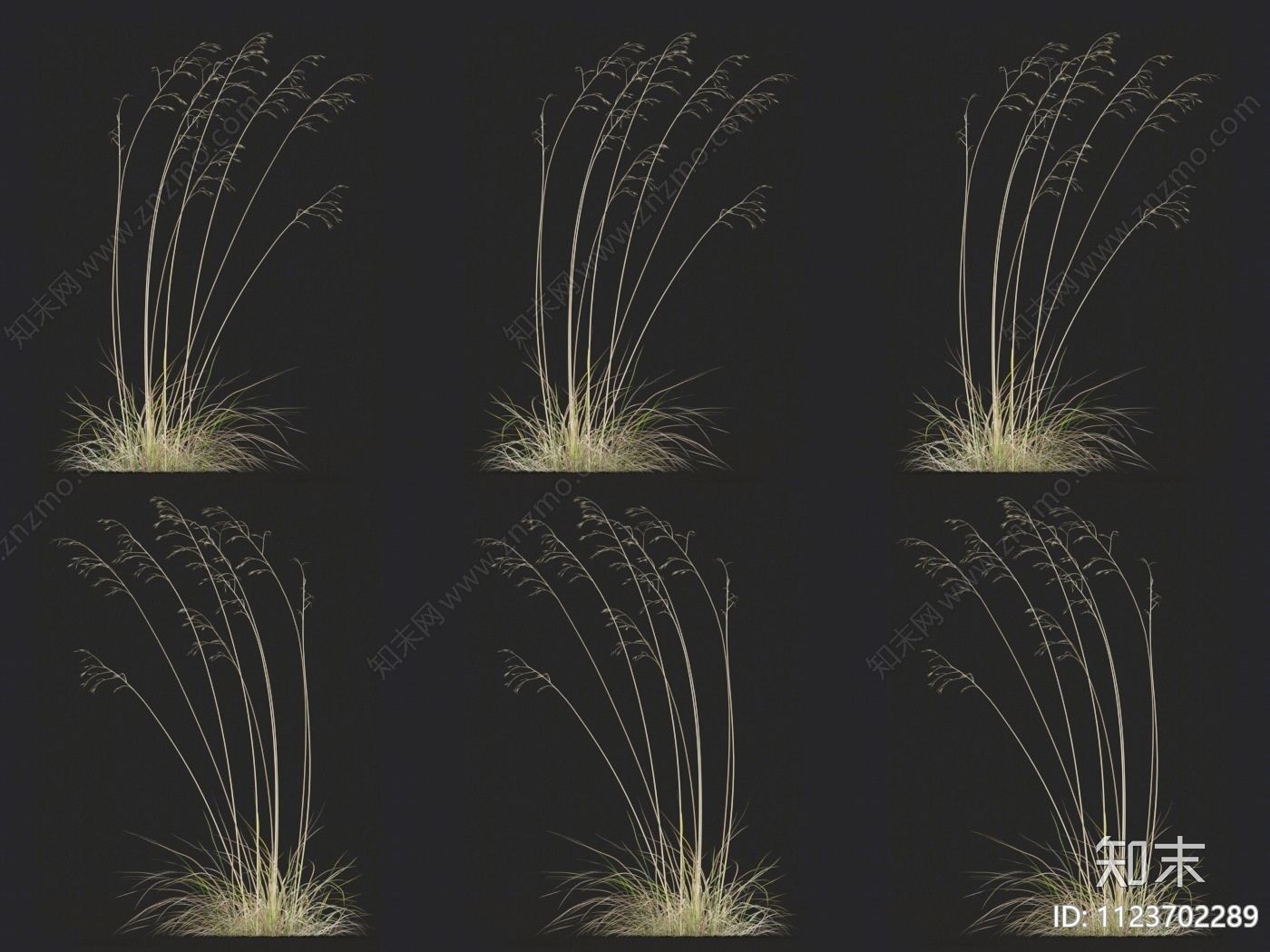 巨针茅3D模型下载【ID:1123702289】