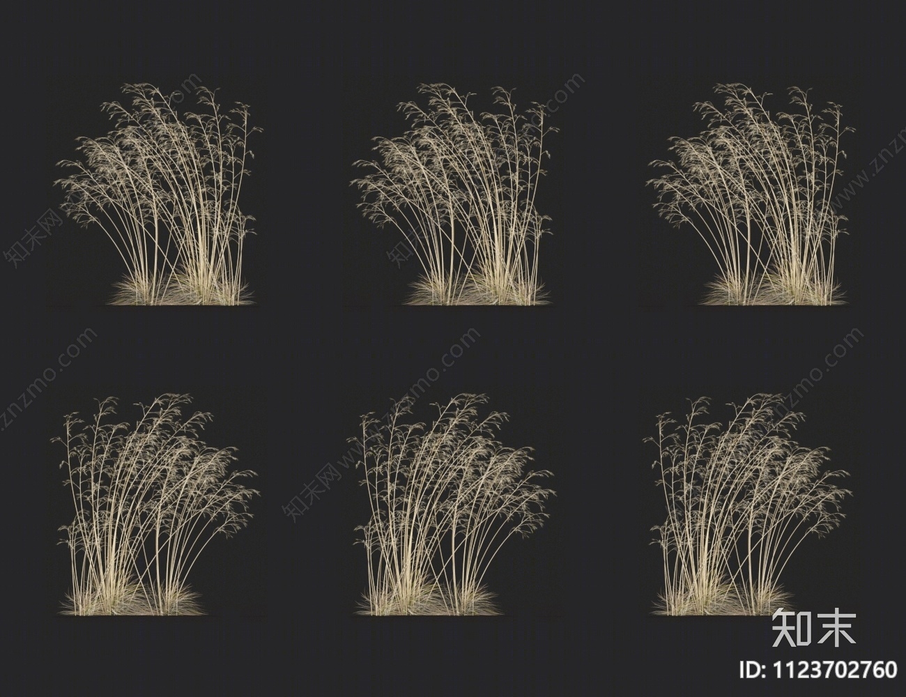 巨针茅3D模型下载【ID:1123702760】