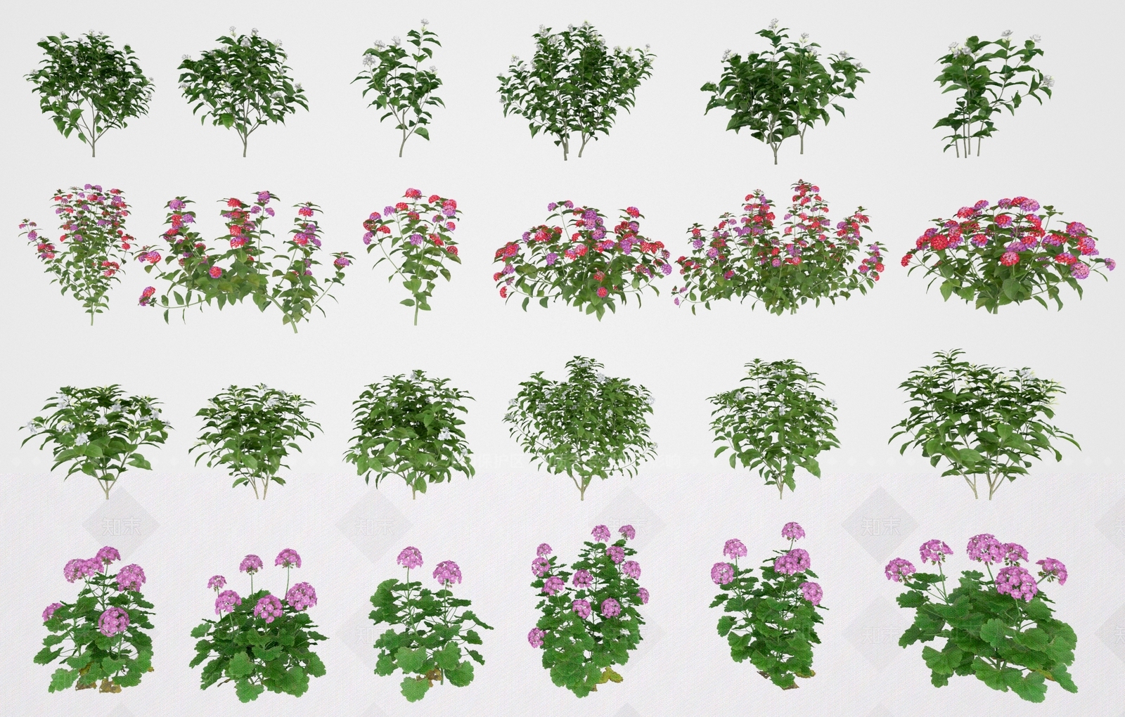 花草组合3D模型下载【ID:1123768971】