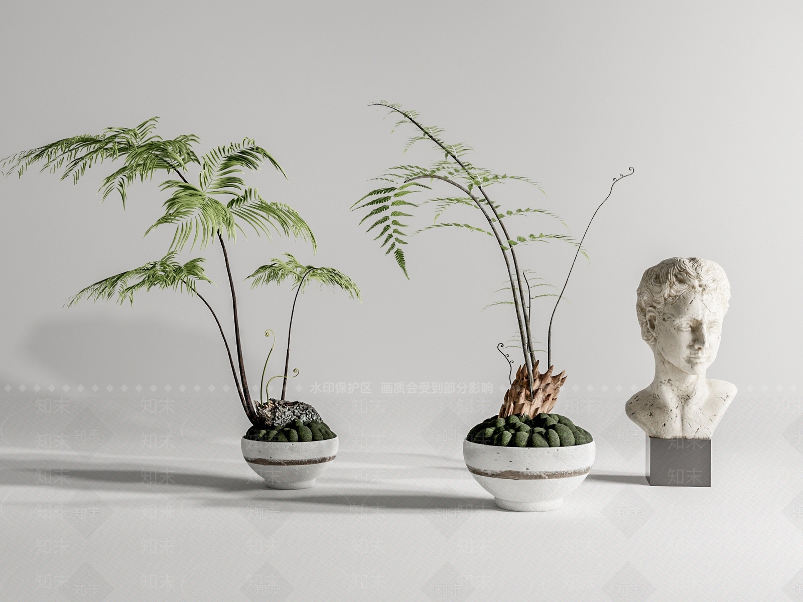 蕨类盆栽3D模型下载【ID:1123827910】