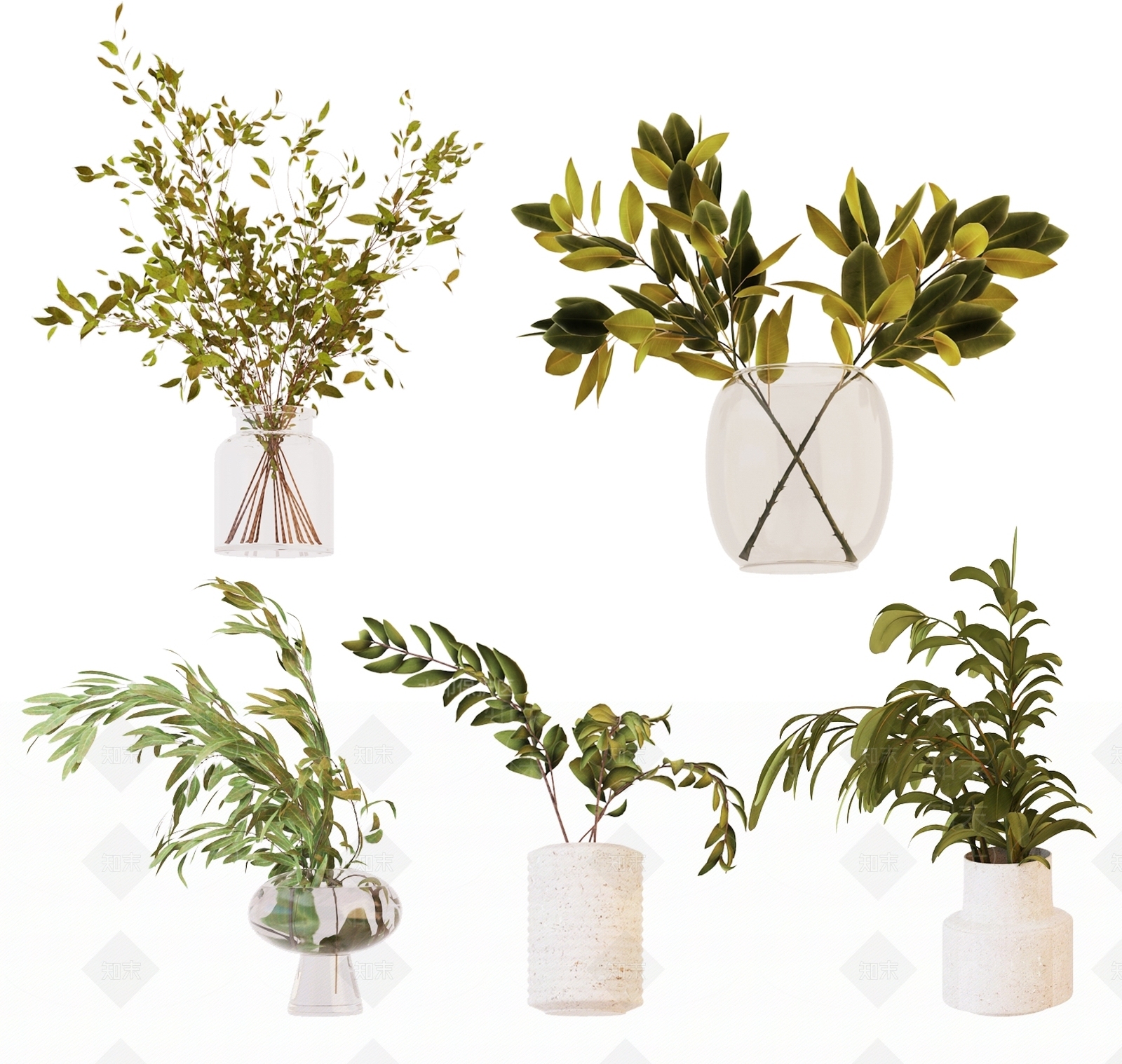 水生植物3D模型下载【ID:1123972767】