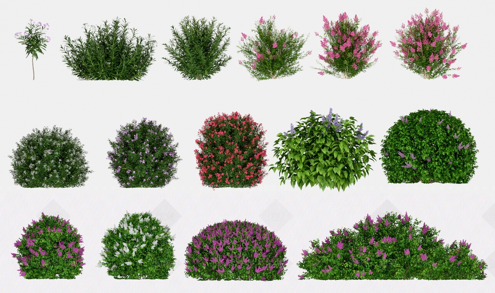 花草组合3D模型下载【ID:1124062543】