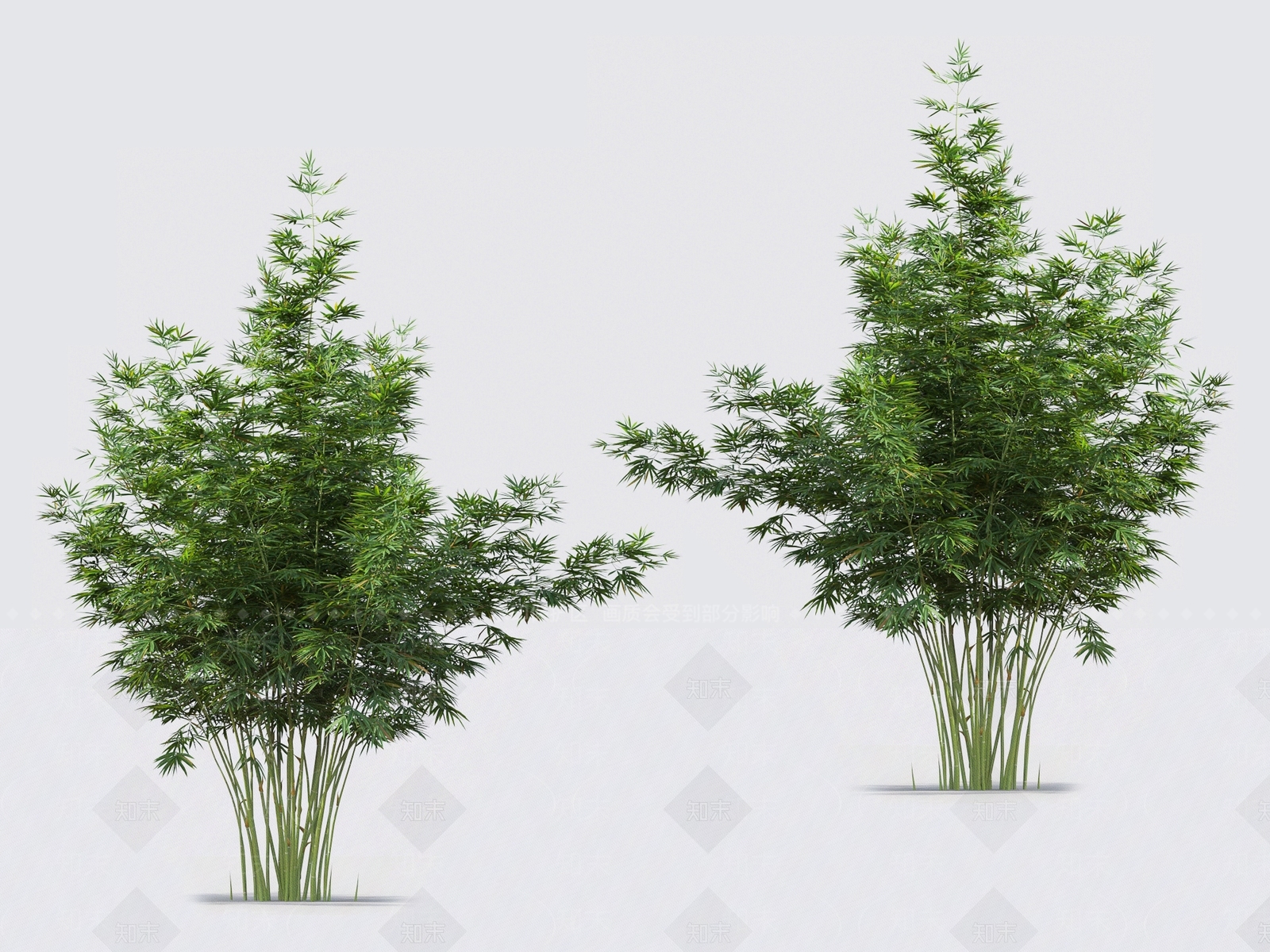 竹子3D模型下载【ID:1124124364】