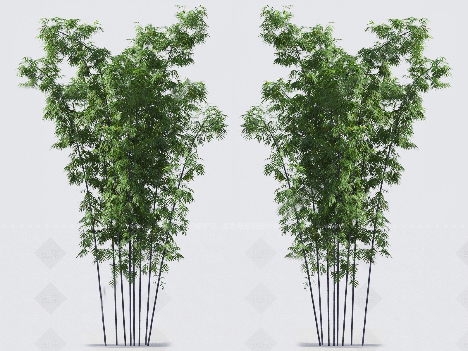 竹子SU模型下载【ID:1124515069】