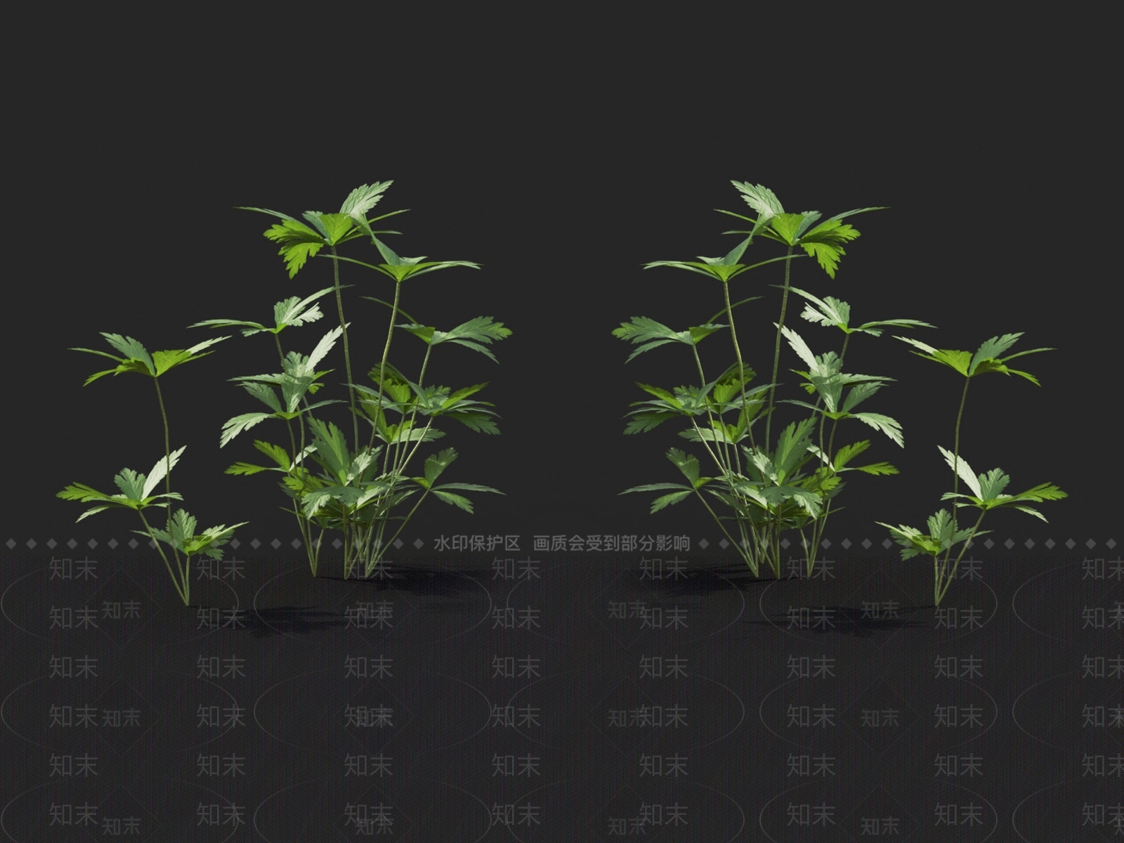 草3D模型下载【ID:1124529578】