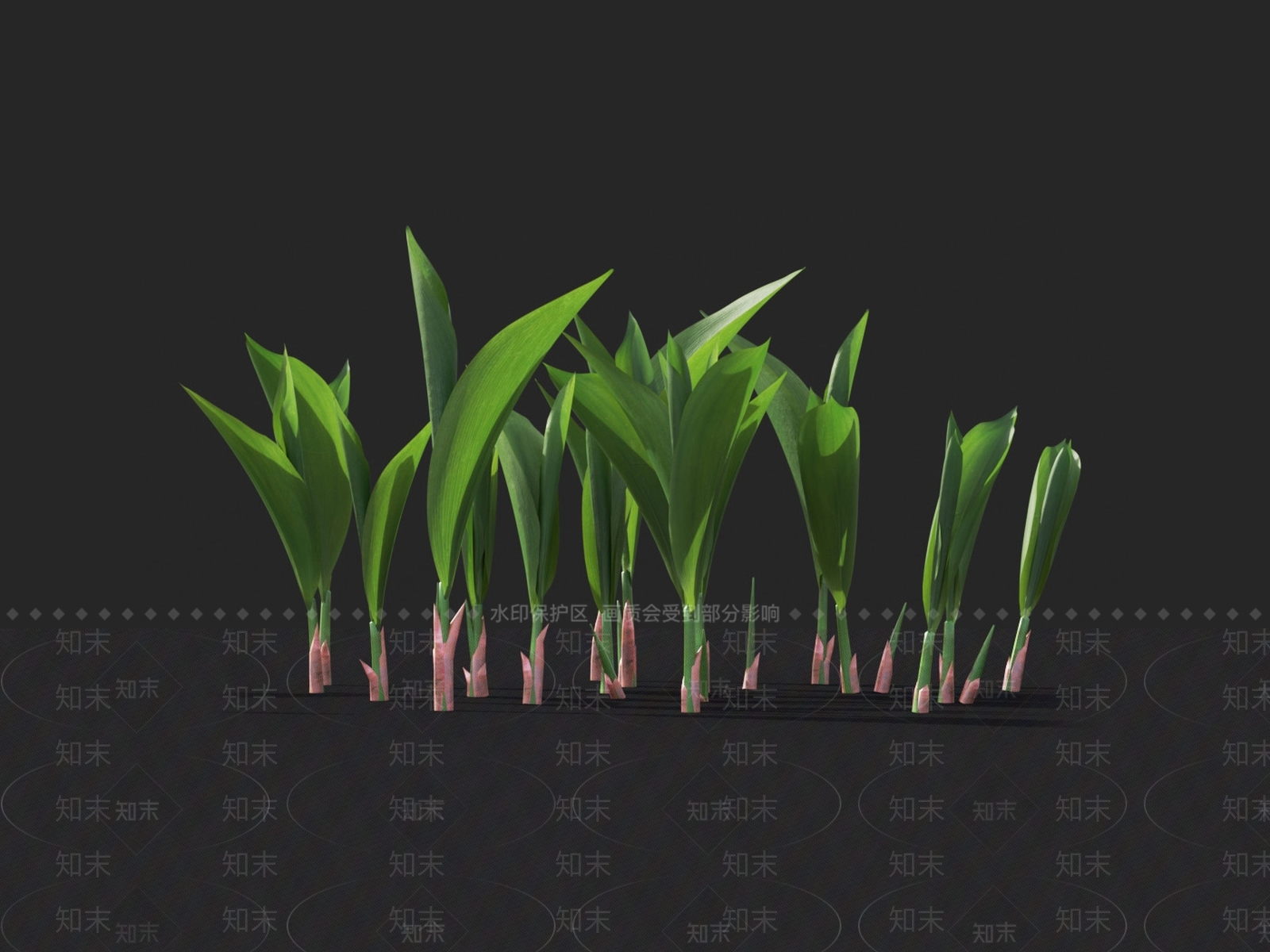 风铃草3D模型下载【ID:1124531787】