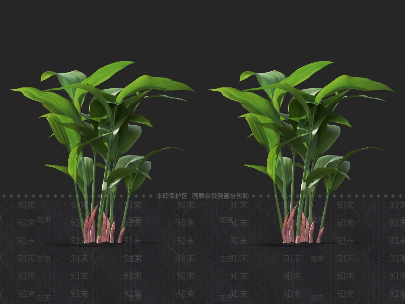 风铃草3D模型下载【ID:1124531941】