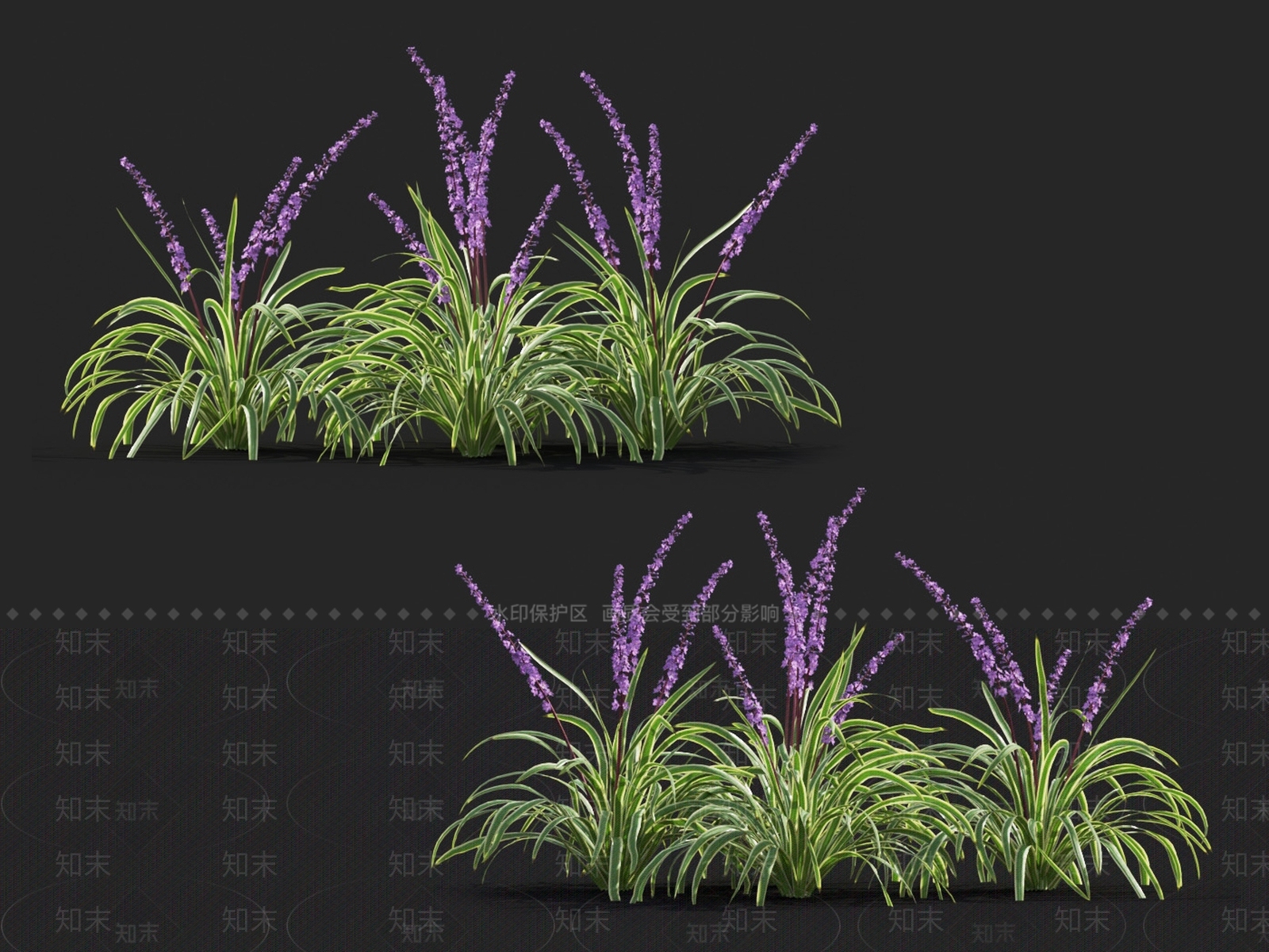 山麦冬草3D模型下载【ID:1124536528】
