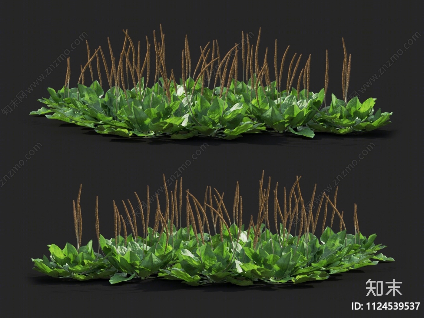 大车前3D模型下载【ID:1124539537】