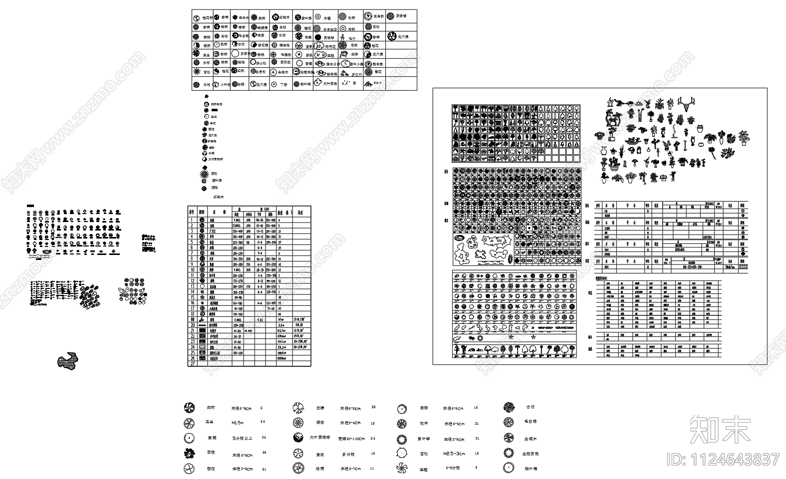 园林植物施工图下载【ID:1124643837】