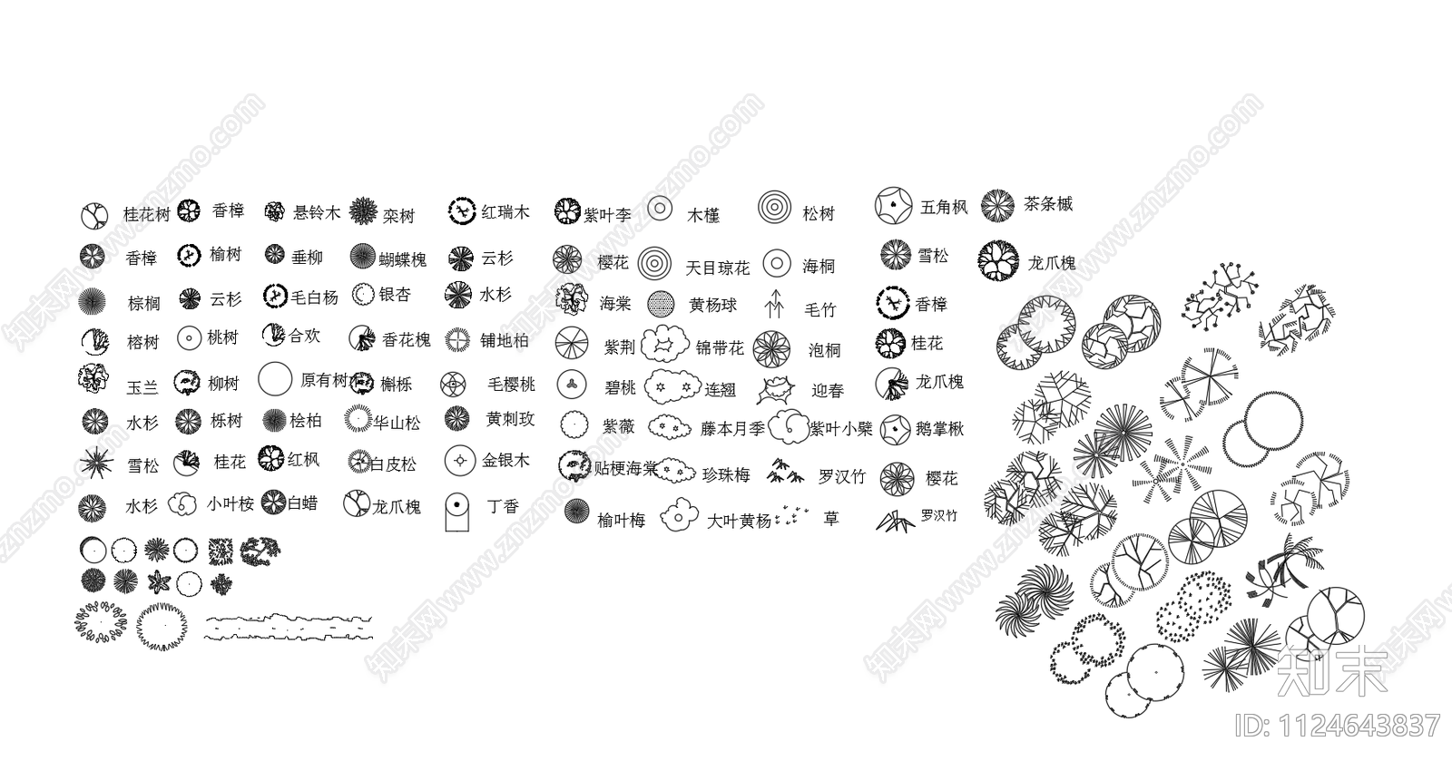 园林植物施工图下载【ID:1124643837】