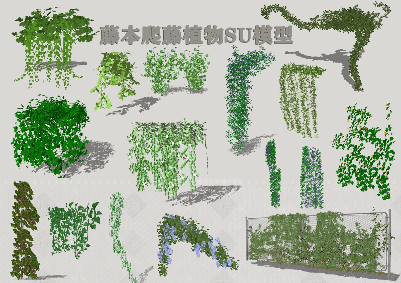藤本爬藤植物SU模型下载【ID:1124618419】