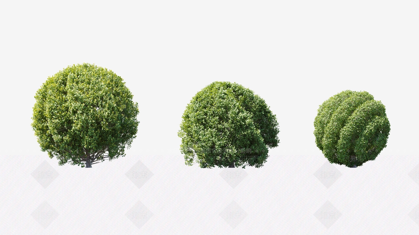 灌木球3D模型下载【ID:1124693005】