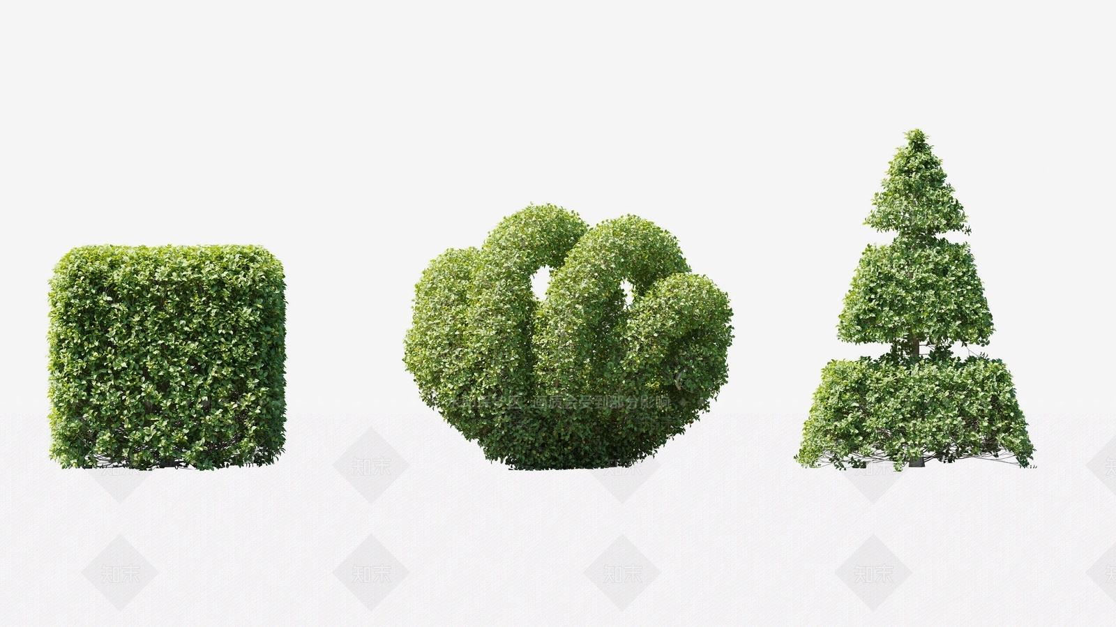 灌木景观园林植物3D模型下载【ID:1124693076】