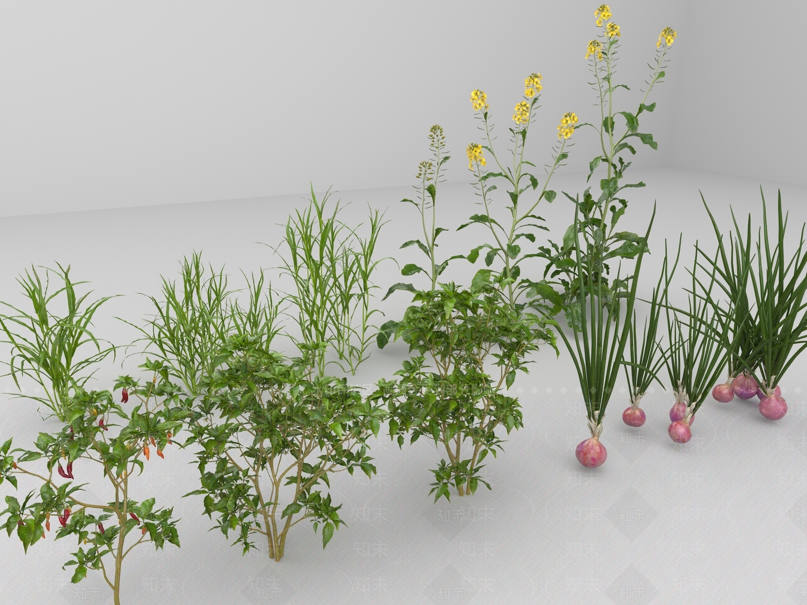 燕麦3D模型下载【ID:1124747175】