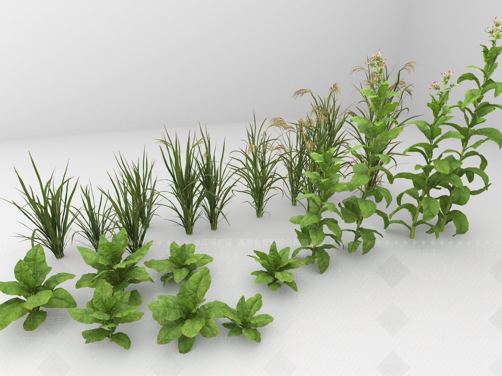 烤烟3D模型下载【ID:1124749488】