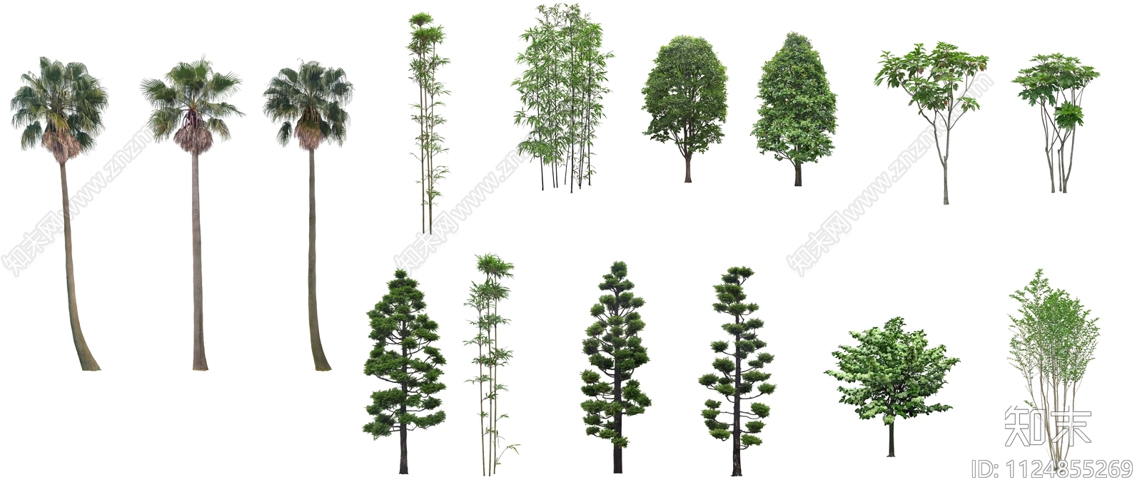 psd免抠植物贴图下载【ID:1124855269】_【知末网贴图库】