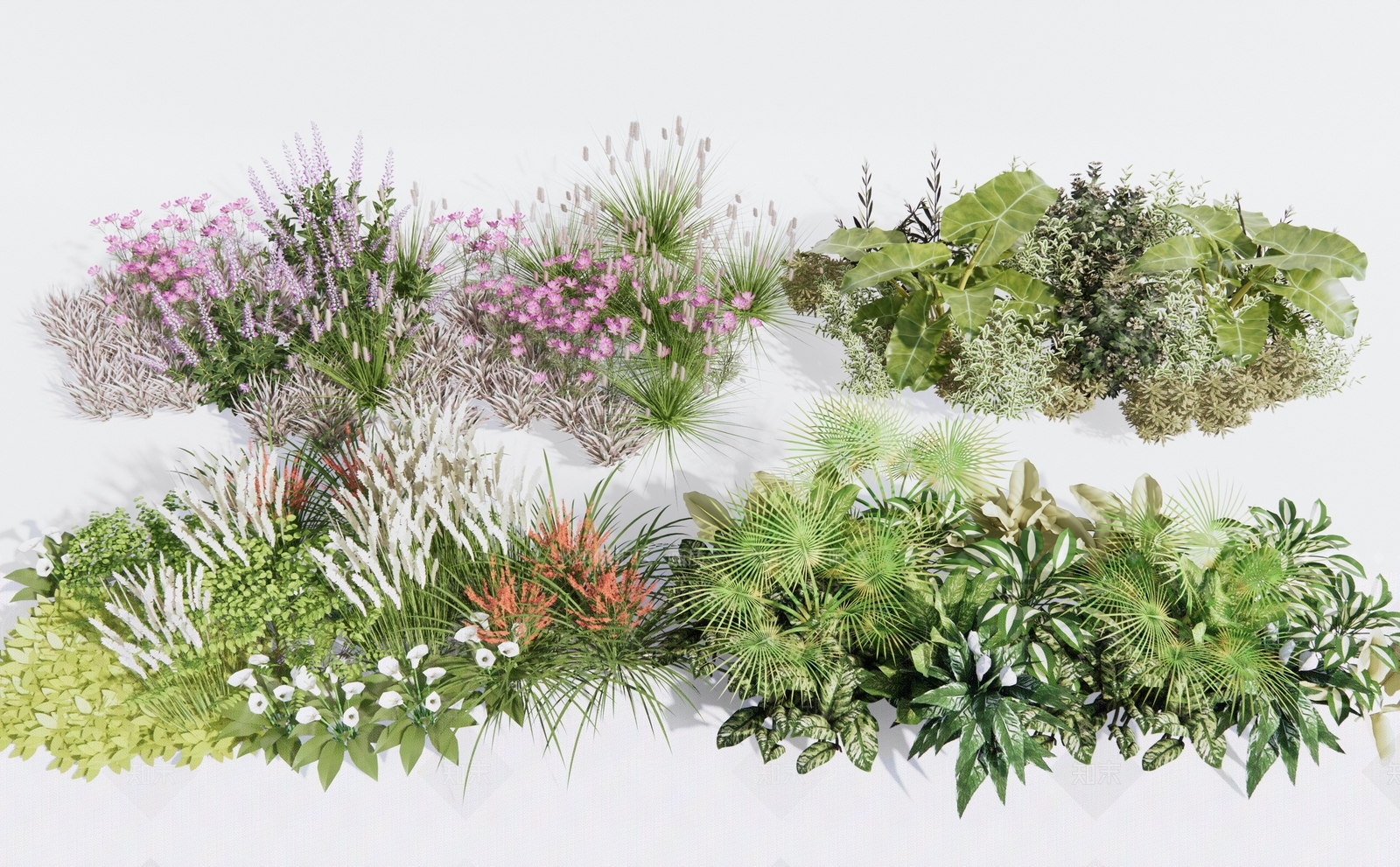 现代花草组合3D模型下载【ID:1124884491】