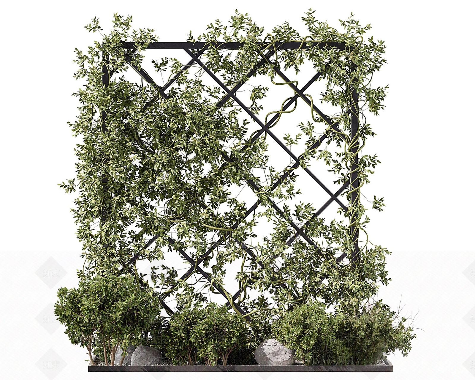 现代藤蔓植物3D模型下载【ID:1125285258】