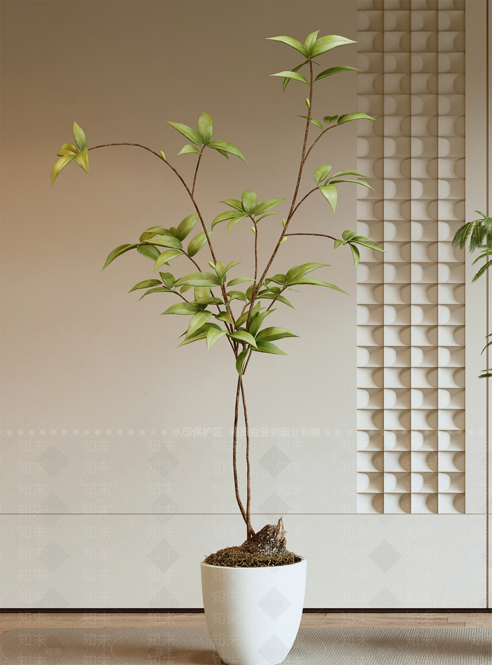 绿植盆栽3D模型下载【ID:1125084174】_知末3d模型网