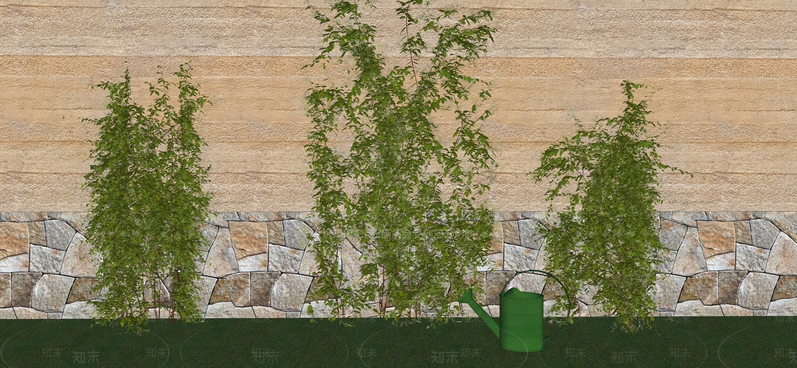 藤本植物SU模型下载【ID:1125106120】