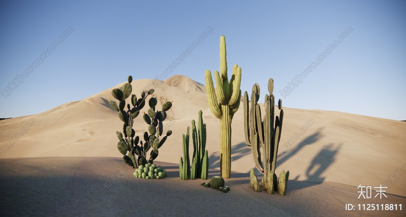 仙人球仙人掌SU模型下载【ID:1125118811】