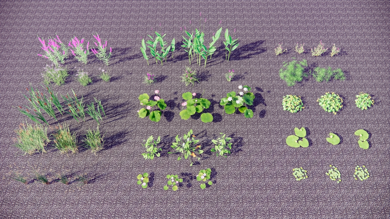 水生植物SU模型下载【ID:1125202659】