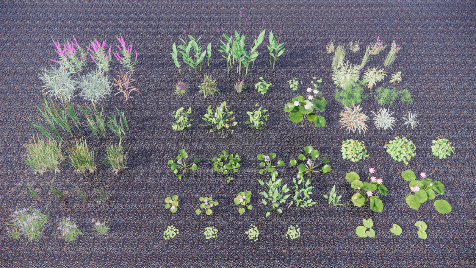 水生植物合集SU模型下载【ID:1125203146】