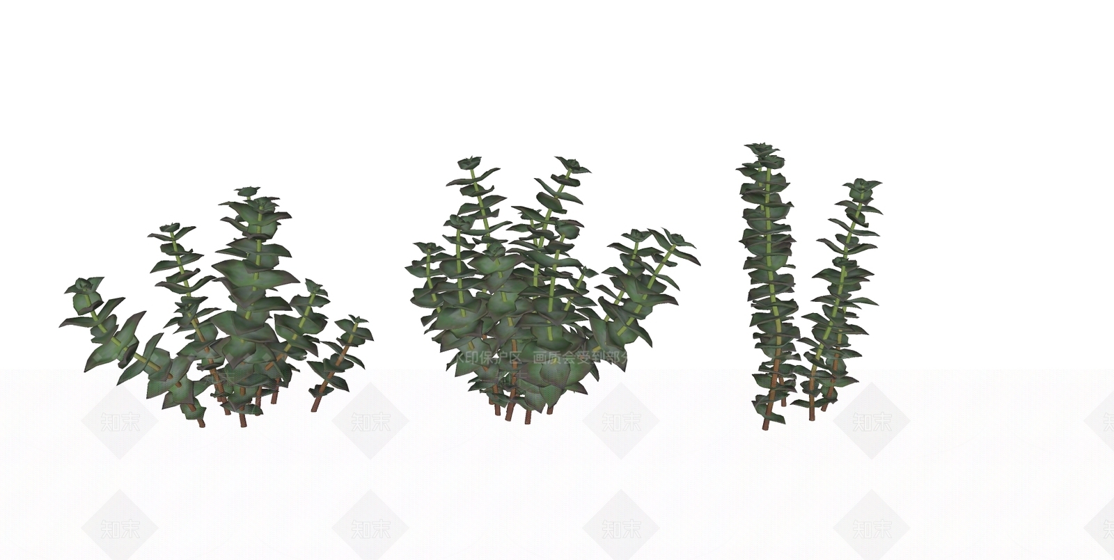 多肉植物SU模型下载【ID:1125313169】