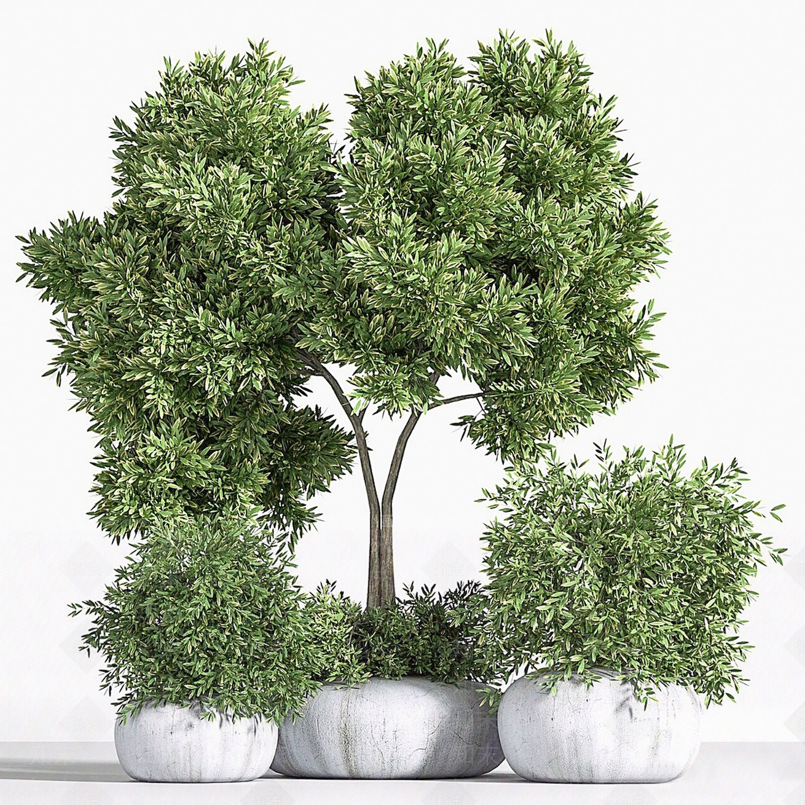 绿植盆栽盆景植物组合SU模型下载【ID:1125376355】