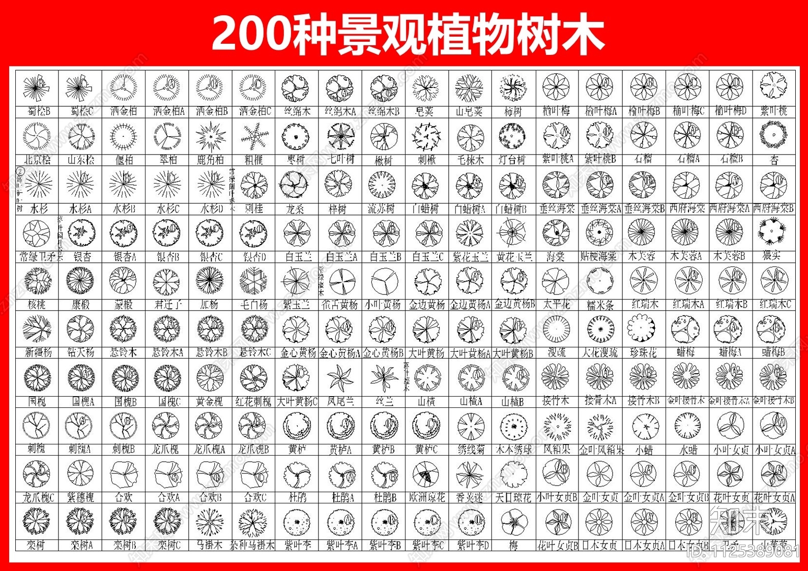 200种景观植物树木施工图下载【ID:1125389081】