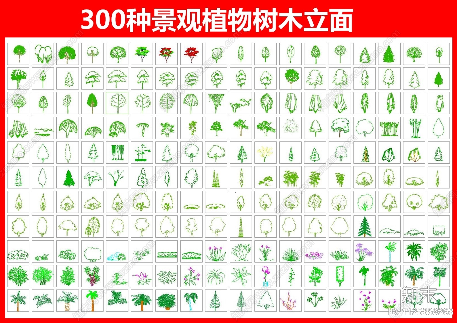 300种景观植物树木立面图例施工图下载【ID:1125389208】