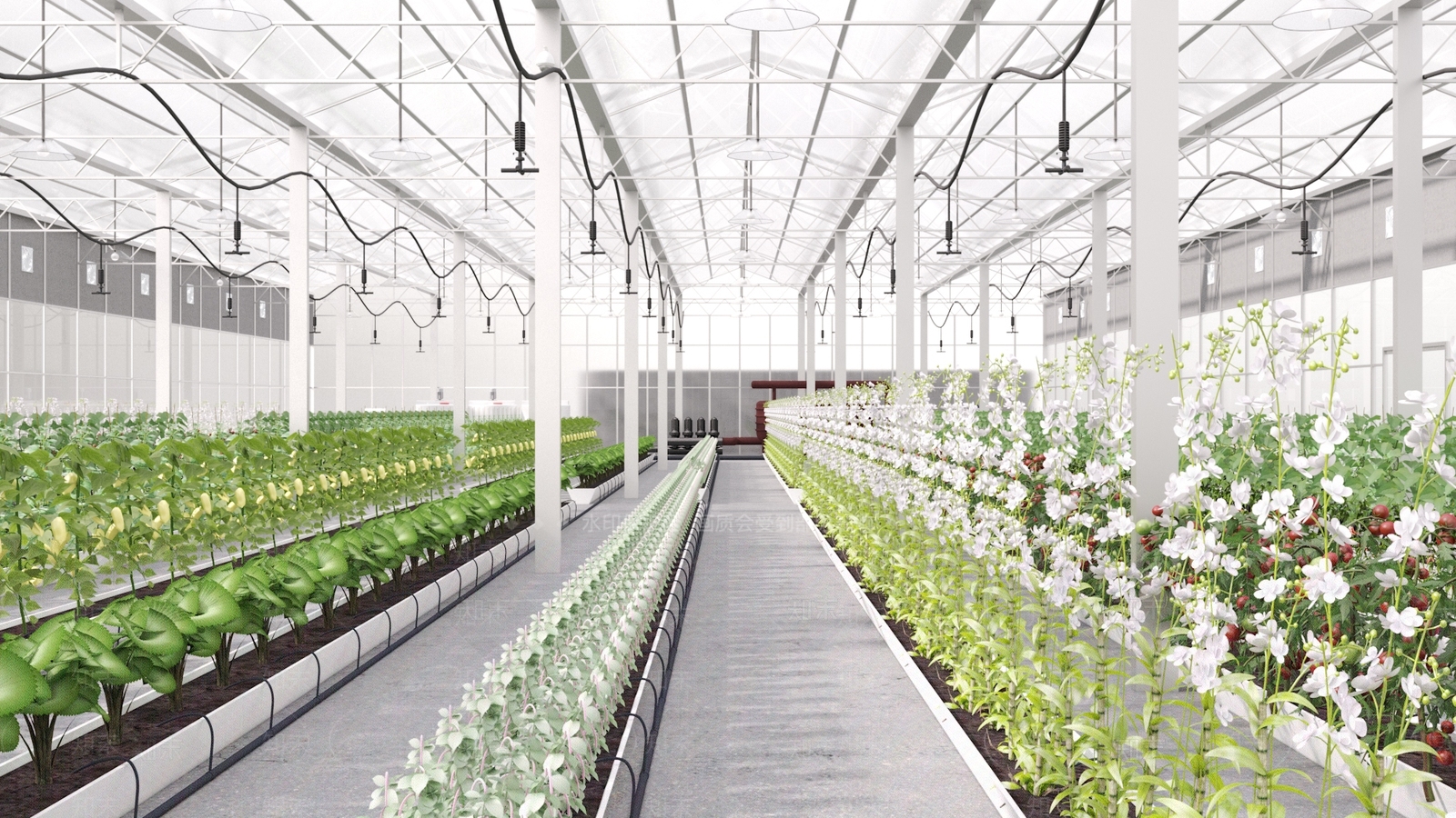 温室大棚3D模型下载【ID:1125484588】