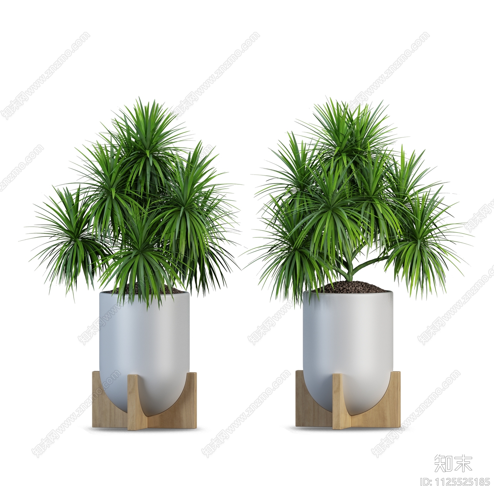 室内绿植盆栽植物盆栽花盆效果图PSD免抠贴图下载【ID:1125525185】_【知末网贴图库】