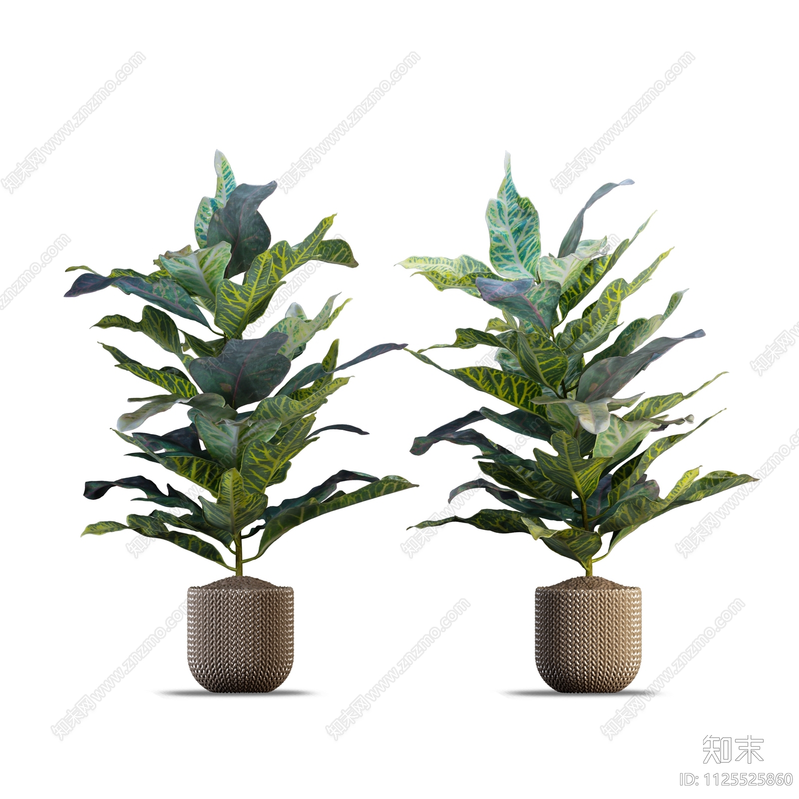 室内绿植盆栽植物盆栽花盆效果图PSD免抠下载【ID:1125525860】undefined
