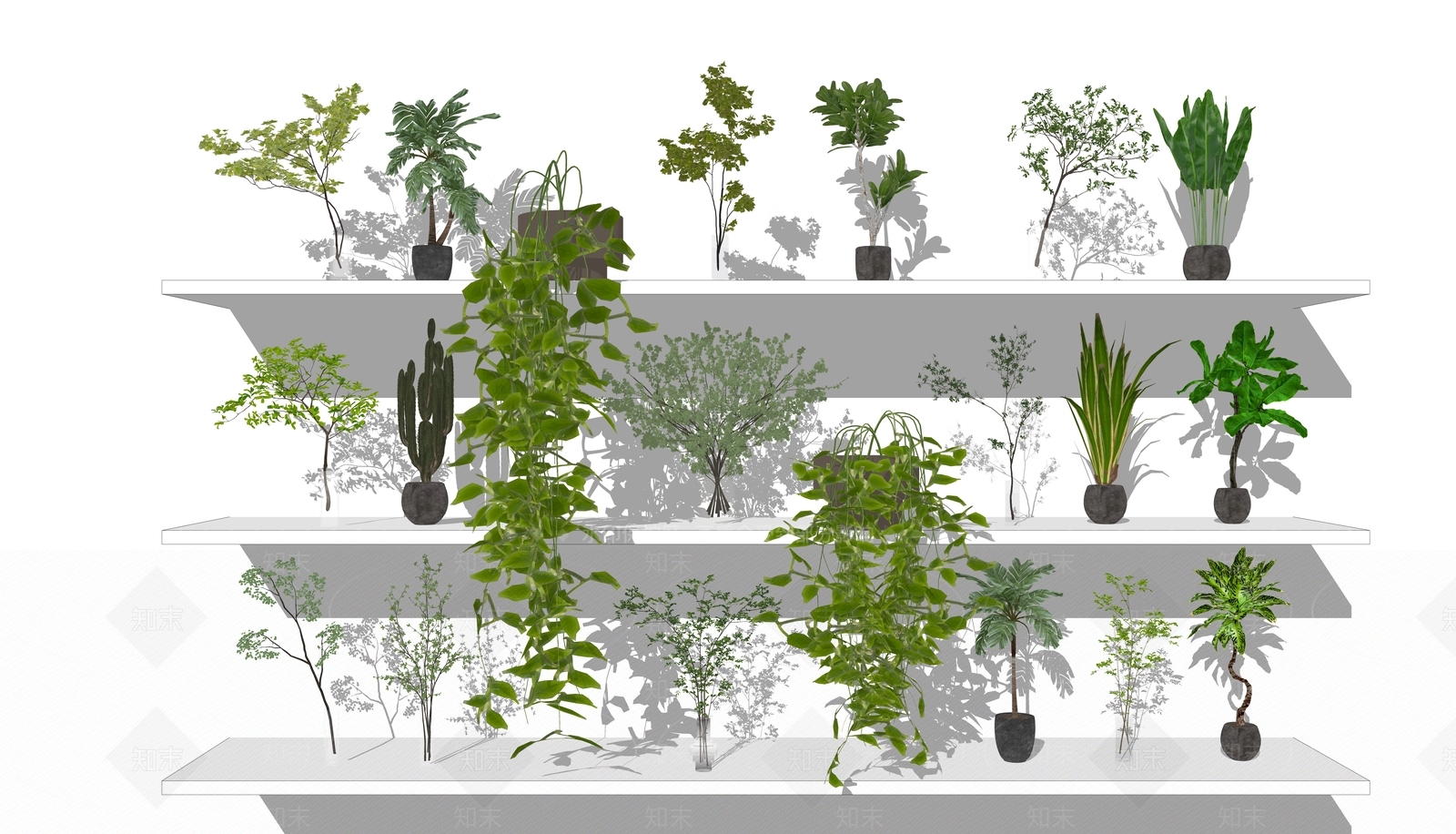 现代水生植物SU模型下载【ID:1125527127】