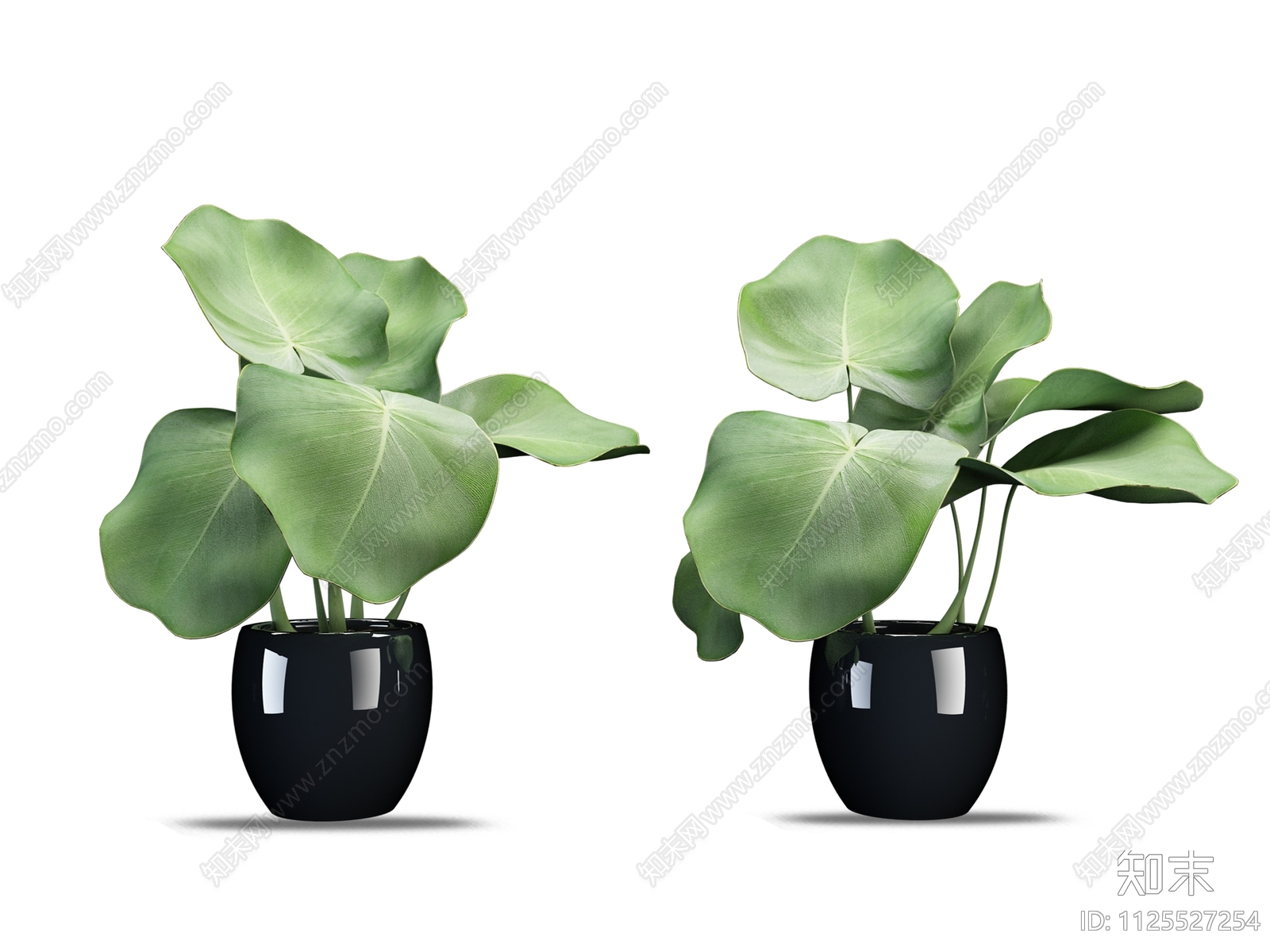 室内绿植盆栽植物盆栽花盆效果图PSD免抠贴图下载【ID:1125527254】_【知末网贴图库】