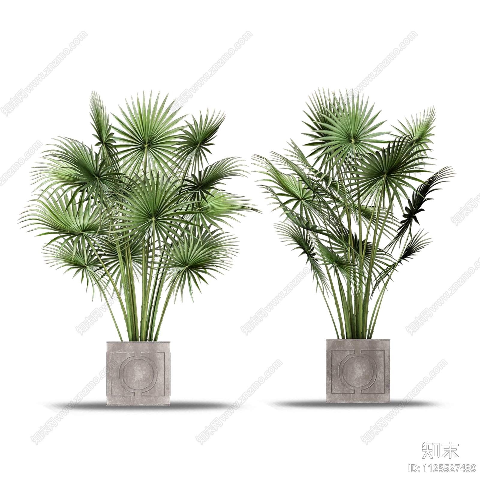 室内绿植盆栽植物盆栽花盆效果图PSD免抠贴图下载【ID:1125527439】_【知末网贴图库】