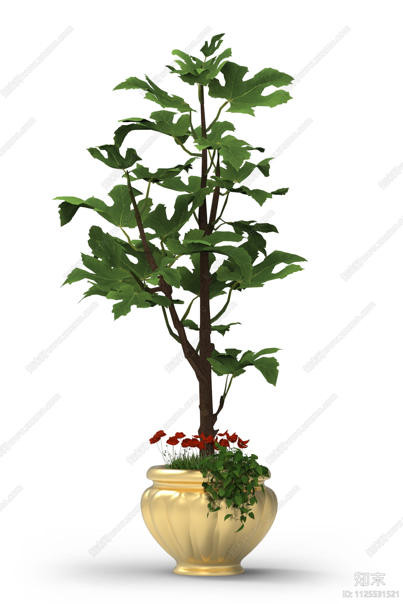 室内盆栽植物绿植效果图PSD免抠贴图下载【ID:1125531521】_【知末网贴图库】