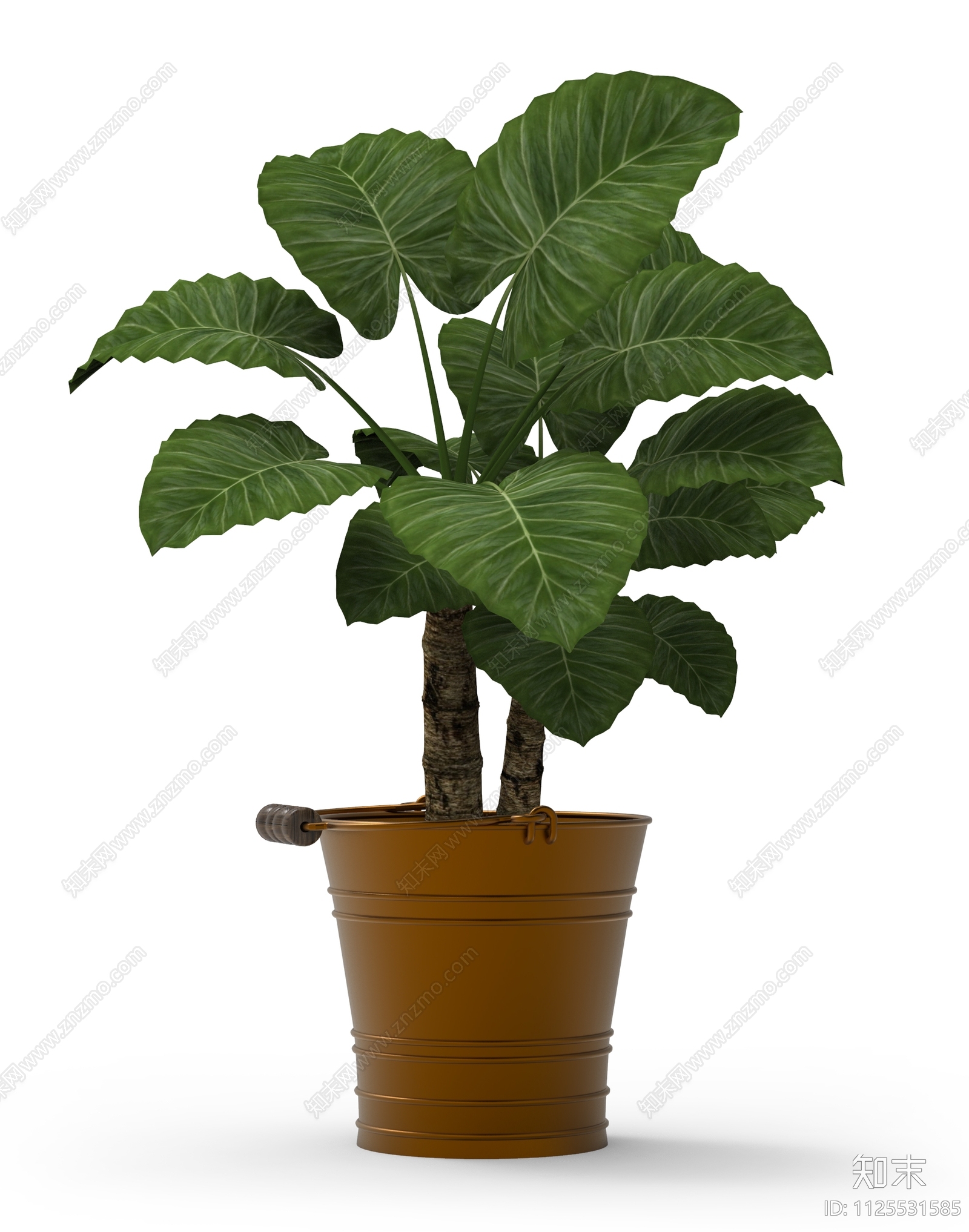 室内盆栽植物绿植效果图PSD免抠贴图下载【ID:1125531585】_【知末网贴图库】