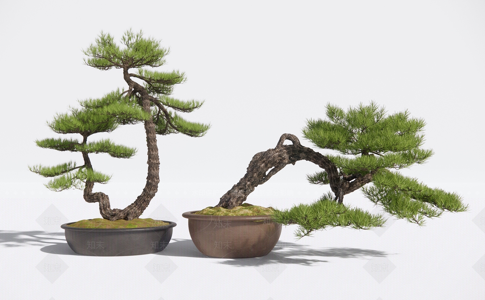 松树盆景3D模型下载【ID:1125544623】