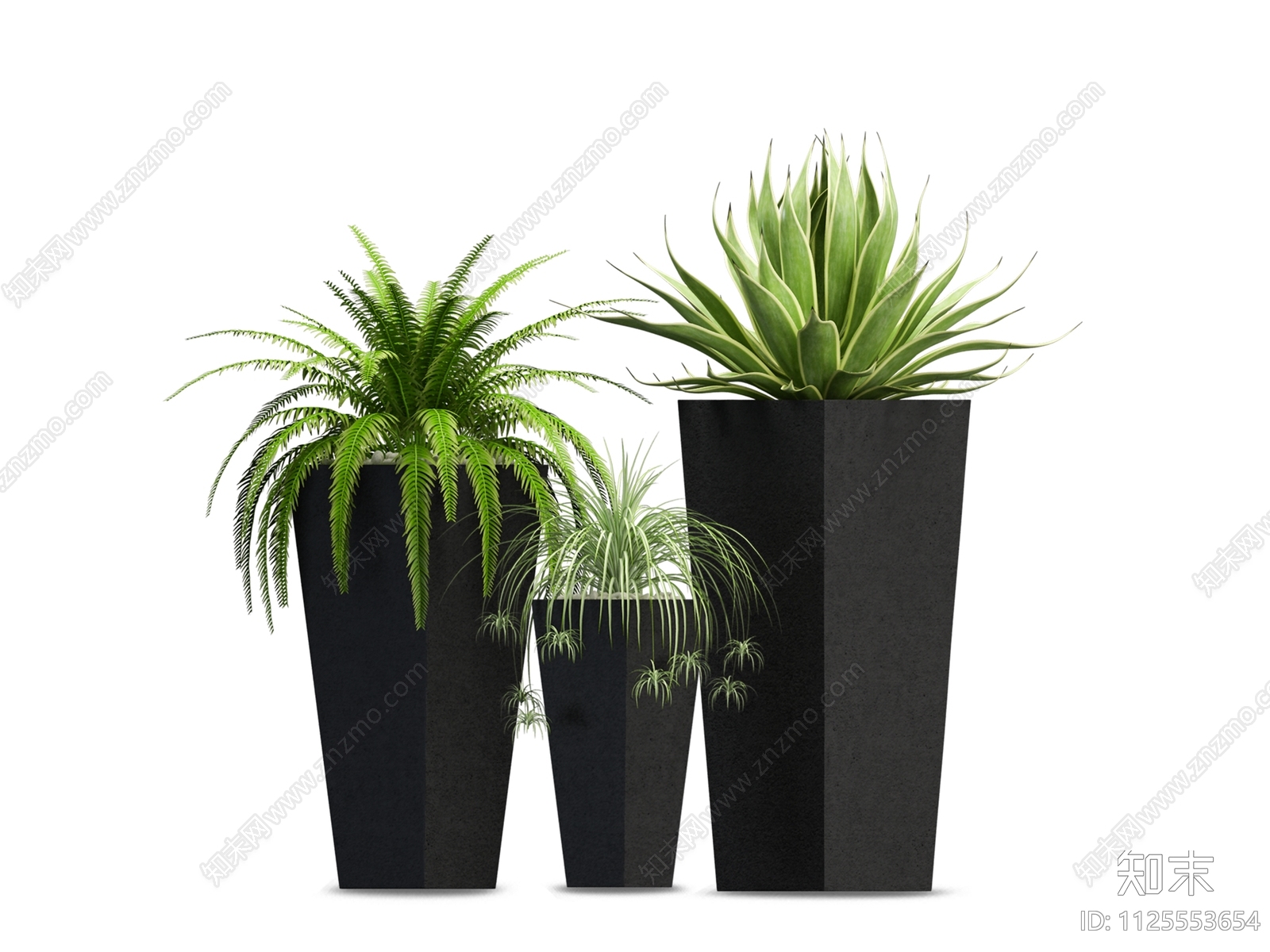现代室内植物绿植盆栽PSD免抠贴图下载【ID:1125553654】_【知末网贴图库】