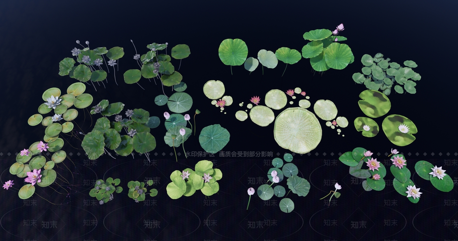 水生植物SU模型下载【ID:1125578029】