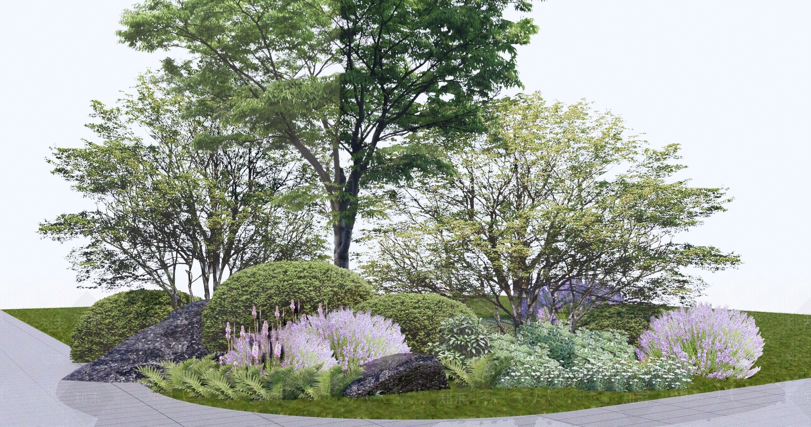 植物组合SU模型精品下载_SketchUp模型_知末网