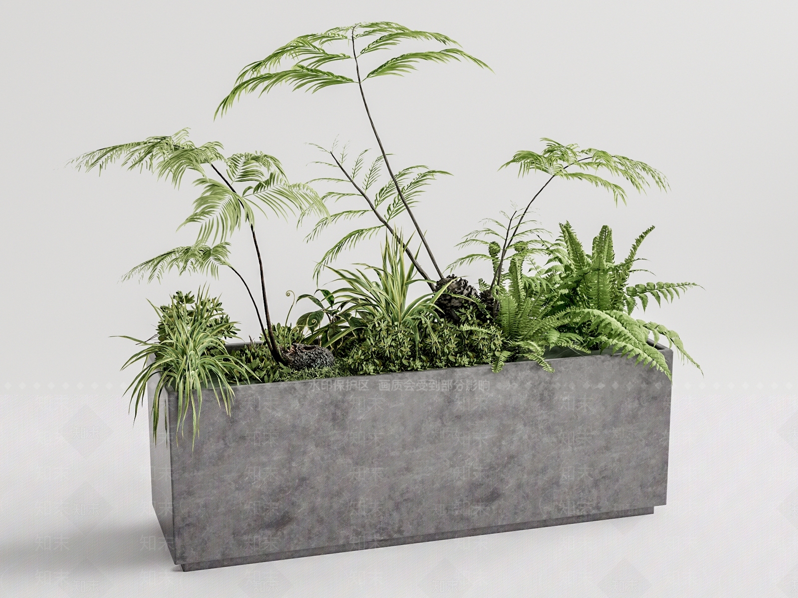 蕨类植物堆3D模型下载【ID:1125770148】